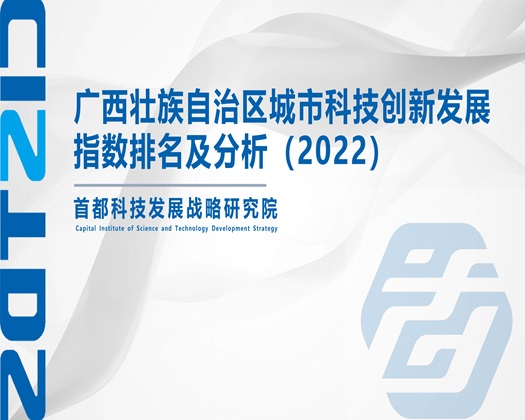 欧美肥逼【成果发布】广西壮族自治区城市科技创新发展指数排名及分析（2022）